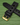 Rubber Watch Straps