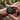 Person adjusting a black wristwatch with a green strap in a forest setting